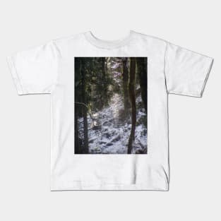 Forest Sun Rays in the Snow #24 Kids T-Shirt